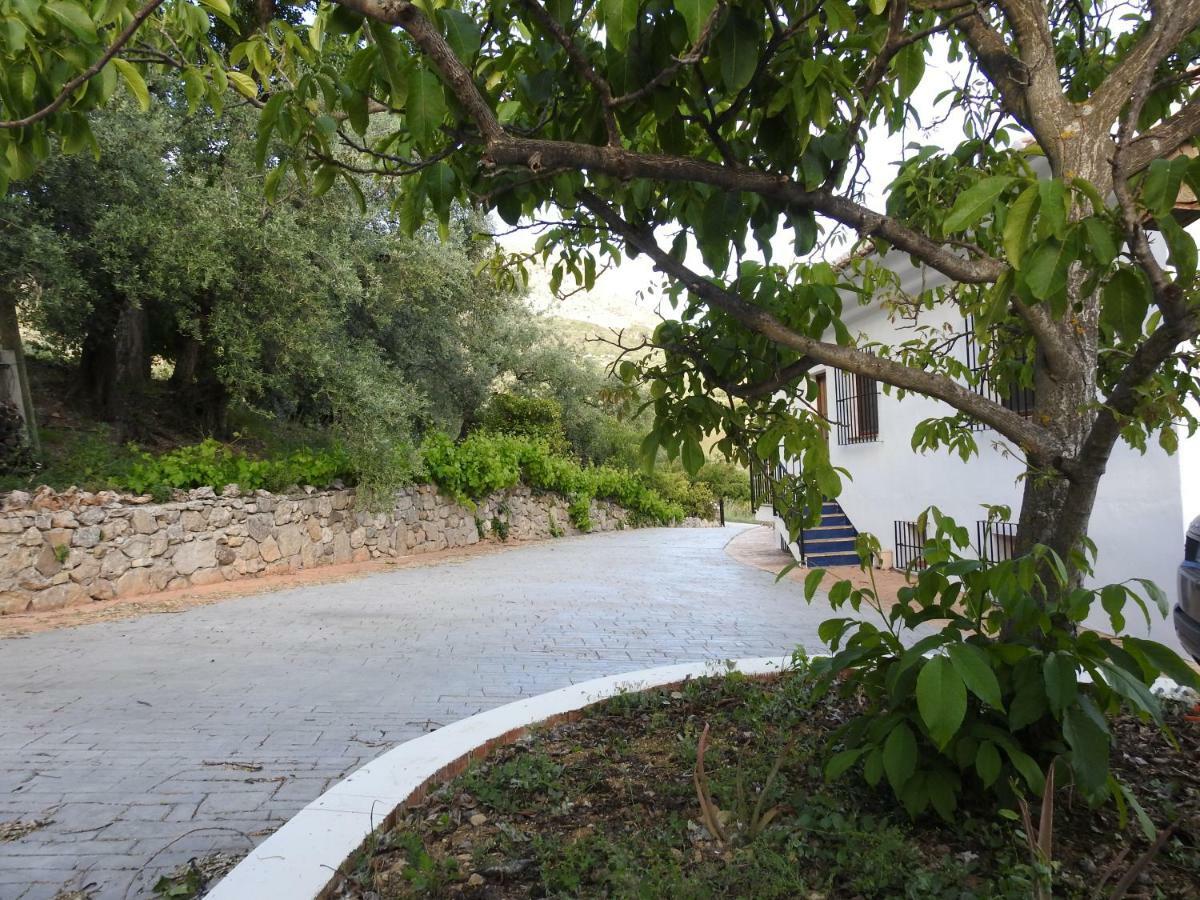 Casa De Los Alamos Periana Esterno foto